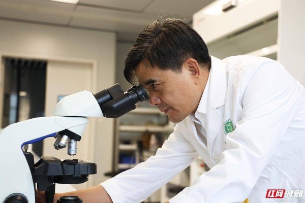 盛金缘证券 政策大家谈丨虫口夺粮！院士柏连阳：湖南秋粮虫害来势汹汹，2.2万台无人机“硬核”阻击