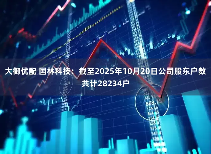 大御优配 国林科技：截至2025年10月20日公司股东户数共计28234户
