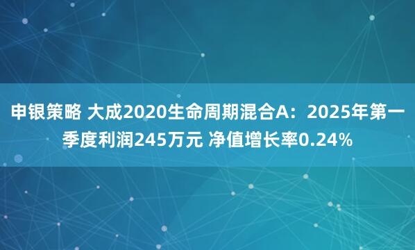 申银策略 大成2020生命周期混合A：2025年第一季度利润245万元 净值增长率0.24%