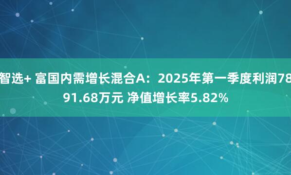 智选+ 富国内需增长混合A：2025年第一季度利润7891.68万元 净值增长率5.82%